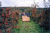 Bild 10432