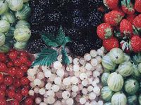 Bild 10458