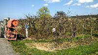 Bild 10475