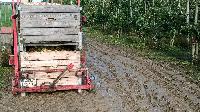 Bild 10491