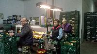 Bild 10497