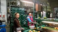 Bild 10498