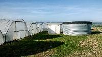 Bild 10501