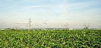 Bild 10371