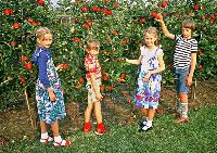 Bild 10367
