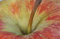 Bild 8868