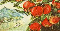 Bild 10578