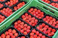 Bild 10644