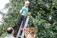 Bild 10678