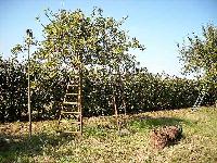 Bild 10681