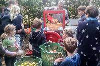 Bild 10686