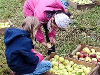 Bild 10687