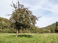 Bild 10693