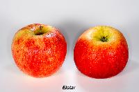 Bild 10706