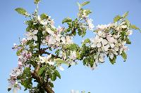 Bild 10707