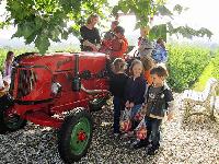 Bild 10715