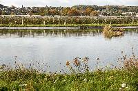 Bild 10720