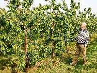 Bild 10735