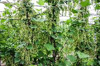 Bild 10738