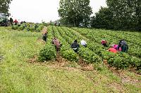Bild 10775