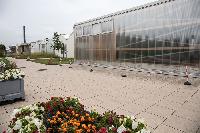 Bild 10783