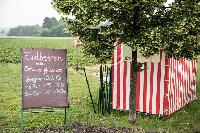 Bild 10345