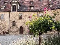 Bild 10903