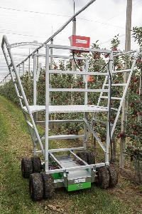 Bild 11011