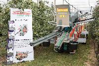 Bild 11012