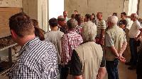 Bild 11033