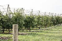 Bild 11065