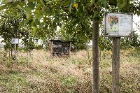 Bild 11075