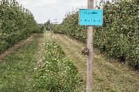 Bild 11080