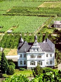 Bild 11117