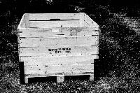 Bild 11177