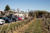 Bild 11257
