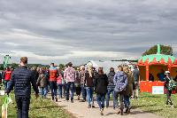 Bild 11375