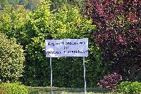 Bild 11410