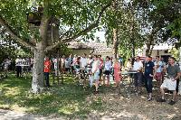 Bild 11442