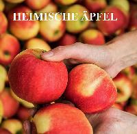 Bild 11591