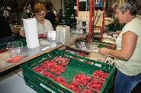 Bild 11675