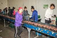 Bild 11718
