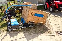 Bild 11729