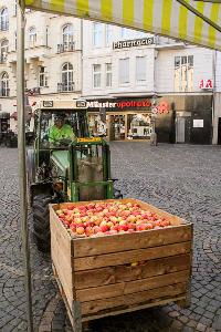 Bild 11761