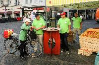Bild 11772