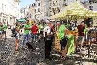 Bild 11795