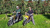 Bild 11887