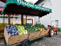 Bild 11912