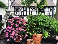 Bild 11939