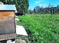 Bild 11931